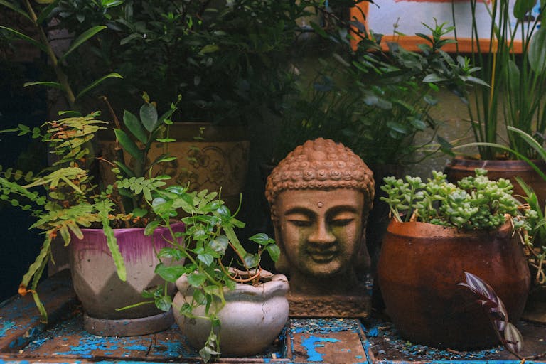 Buddha head sculpture surrounded by lush green plants in outdoor setting, Ho Chi Minh City.